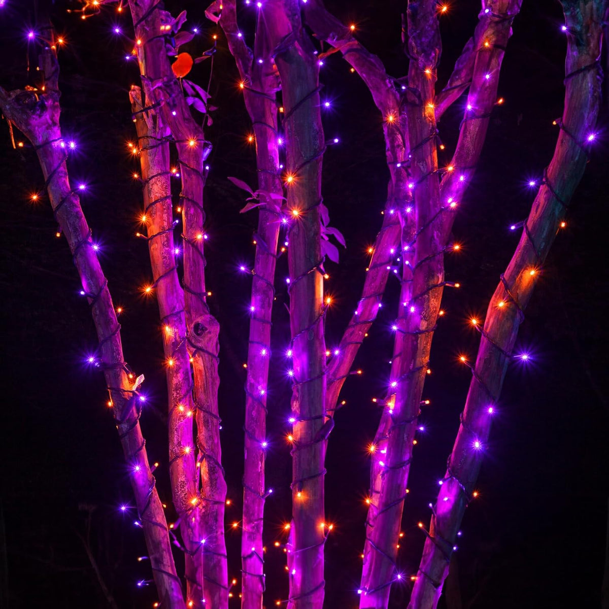 Dazzle Bright 164 FT 500 LED Halloween String Lights, Waterproof Halloween String Lights Black Wire