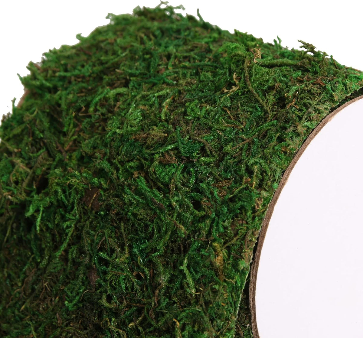 Moss Roll, Dried Moss for Crafts, Moss Table Runner for Fairy Gardens, Wedding Woodland Decor