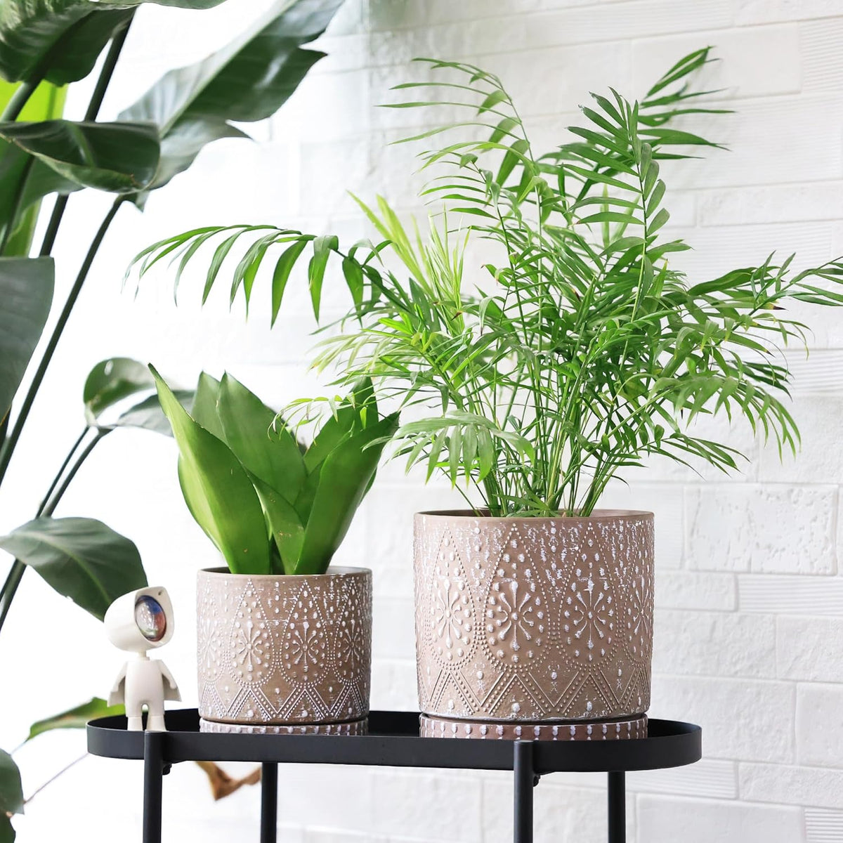 8 Inch + 6 Inch Plant Pot with Drainage Holes and Saucers, Indoor Ceramic Planter for Plants