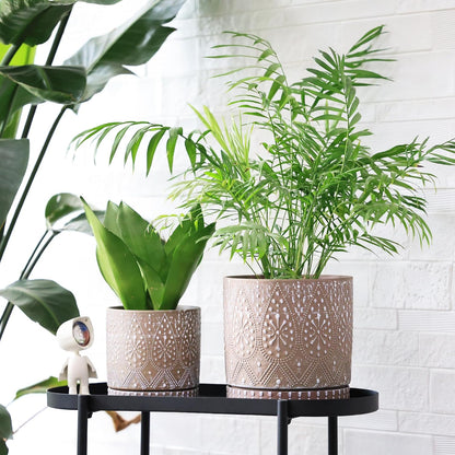 8 Inch + 6 Inch Plant Pot with Drainage Holes and Saucers, Indoor Ceramic Planter for Plants