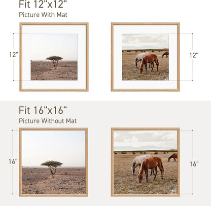 16x16 Picture Frame Natural Solid Oak Photo Frames with 12x12 Removable Mat Wall Hanging Large