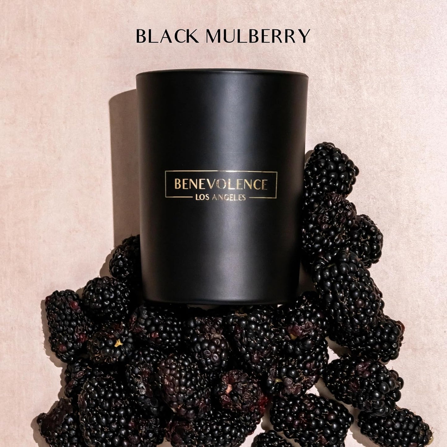 Benevolence LA Black Berries (Baies) Scented Candle | Soy Candles, Black Candle for Home | Gifts