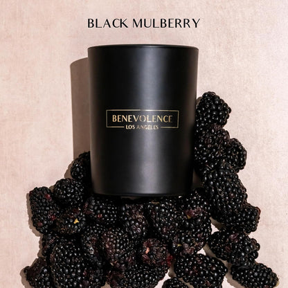 Benevolence LA Black Berries (Baies) Scented Candle | Soy Candles, Black Candle for Home | Gifts