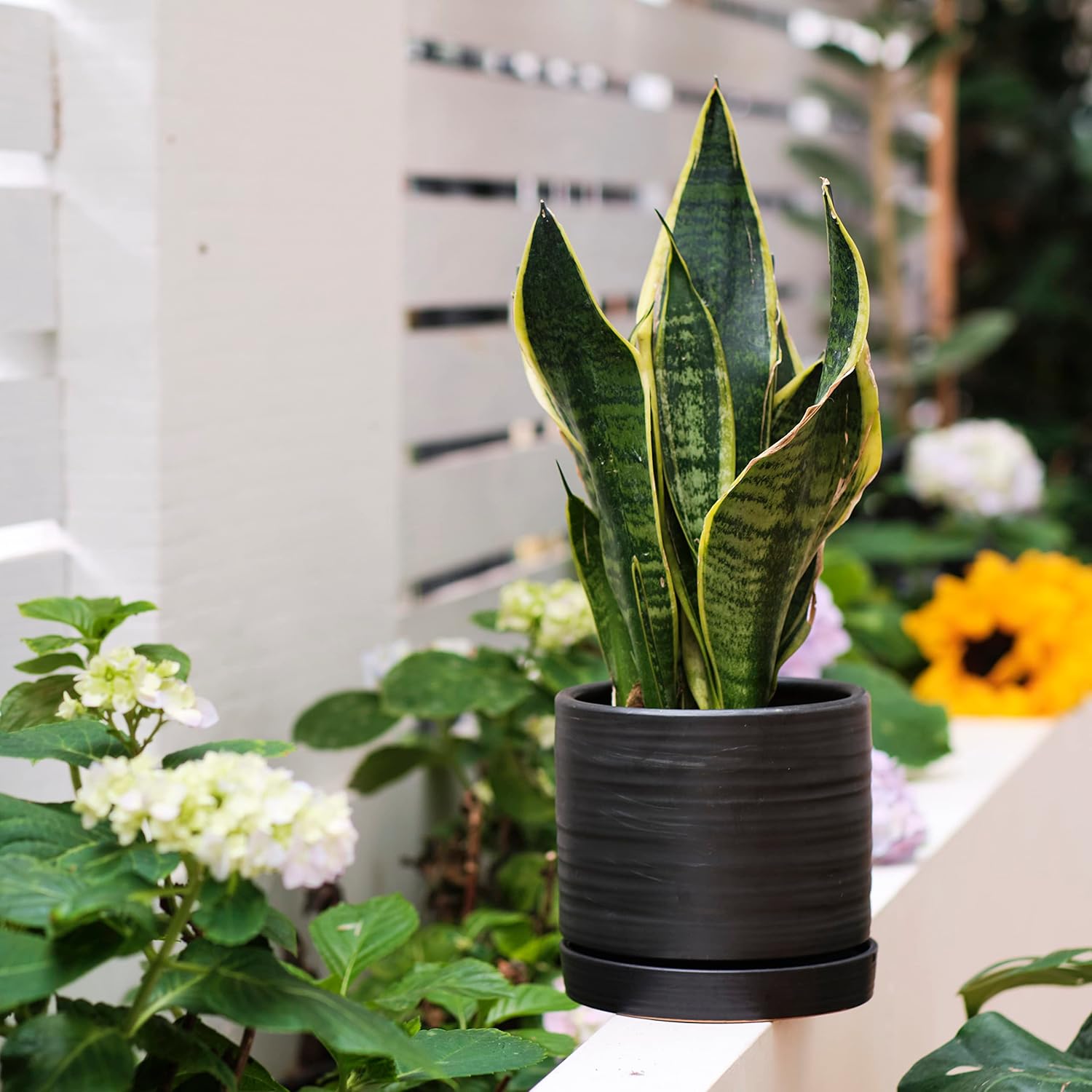 6 + 8 Inch Plant Pots, Ceramic Planter Pot with Drainage Hole & Saucer, Indoor/Outdoor Cylinder