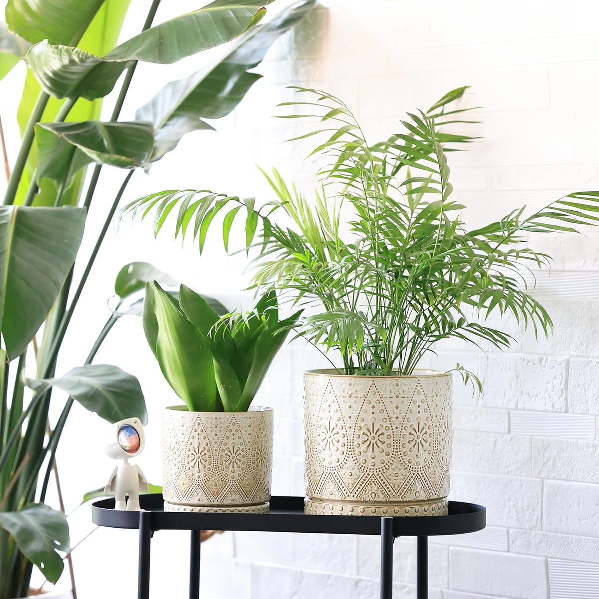 8 Inch + 6 Inch Indoor Plant Pot with Drainage Holes and Saucers, Ceramic Planter for Plants