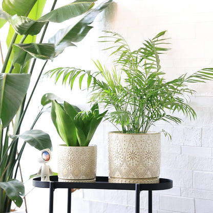 8 Inch + 6 Inch Indoor Plant Pot with Drainage Holes and Saucers, Ceramic Planter for Plants