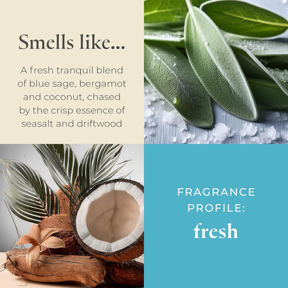 PartyLite Sea Salt & Sage Scented, Notes of Salted Air, Sea-Soaked Sage, Driftwood, Coconut and