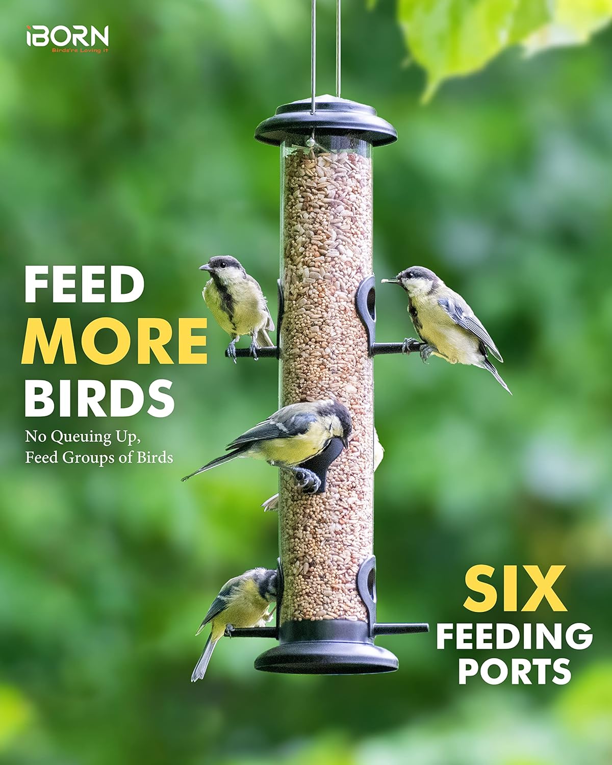 iBorn Metal Bird Feeders Black Wild Bird Feeder for Outdoors Hanging All Metal Black Finishing 14