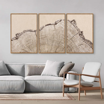 SIGNINART Large Tree Ring Framed Canvas Wall Art Set, Rustic Beige Nature Wooden Wall Decor
