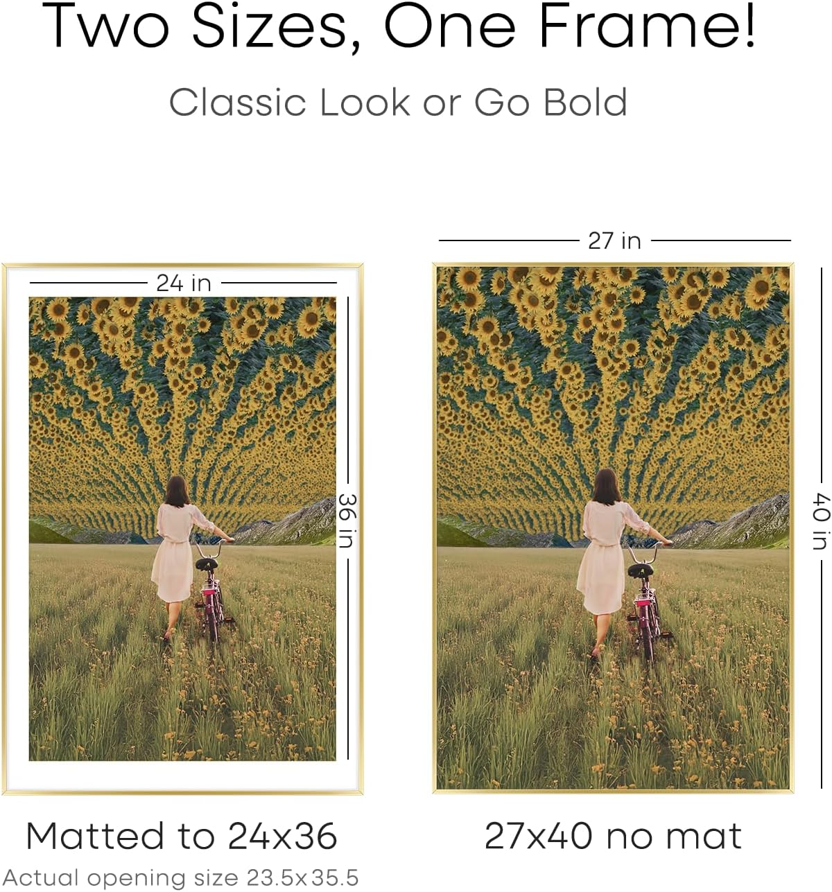 Homeforia 27x40 Picture Frame Gold, High End Metal 27 x 40 Large Poster Frames with Mat 24 by 36