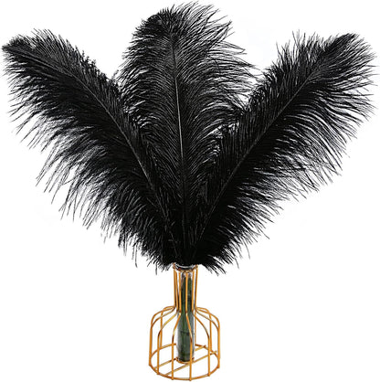 THARAHT Black Ostrich Feathers 12pcs Large Natural Bulk 16-18Inch 40cm-45cm for Wedding Party