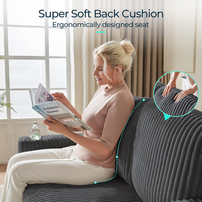 LINSY HOME Loveseat Sofa with Pull Out Couch: 2-in-1 Convertible 2 Seater Sofa Chaise with USB