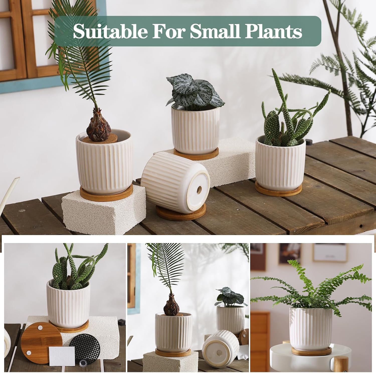 TAMAYKIM 4 Inch Ceramic Plant Pots with Drainage Holes, Modern Flower Planter with Saucer for