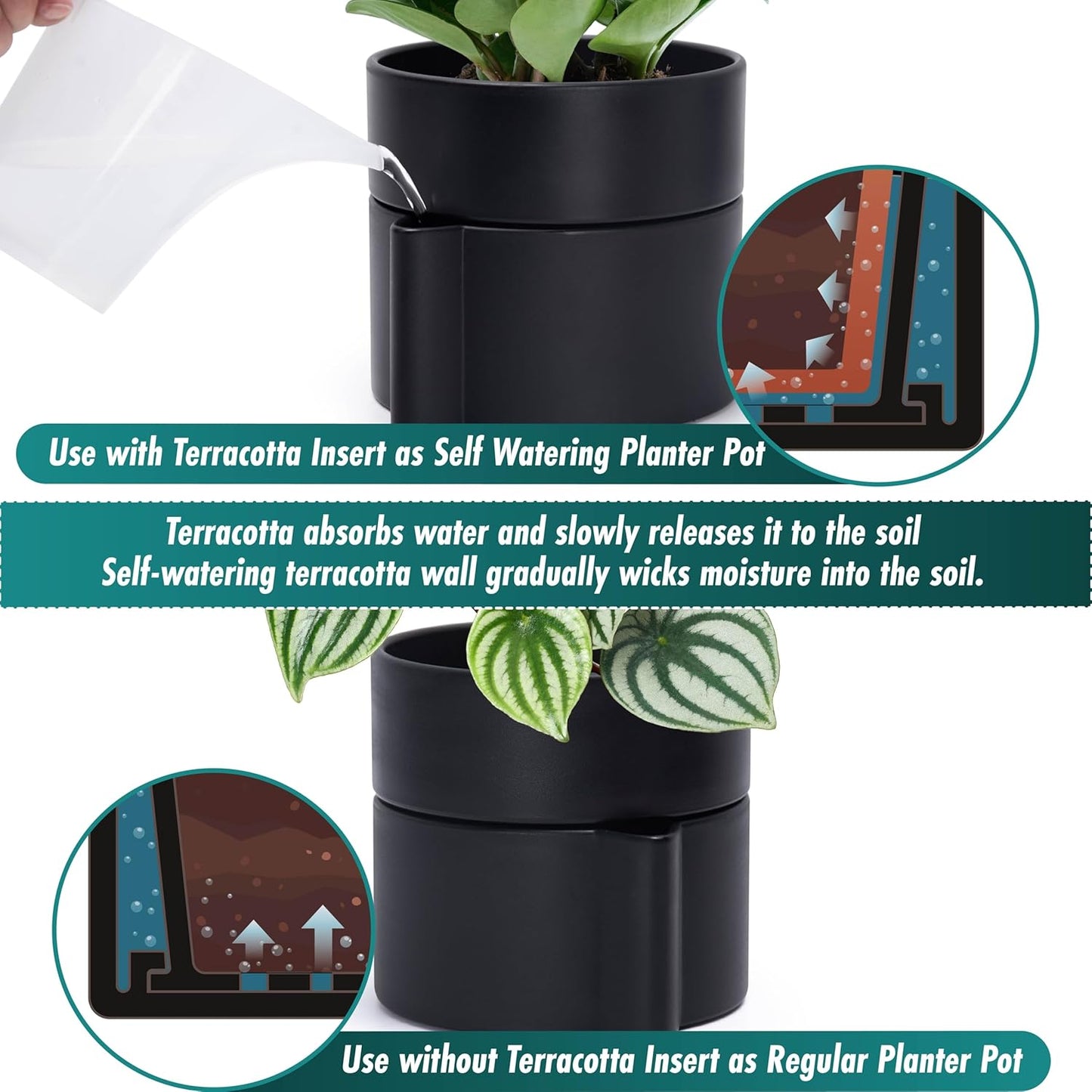 Phoenix Vine 6.5 Inch Self-Watering Planter Pot with Terracotta Insert, Deep Water Reservoir, and