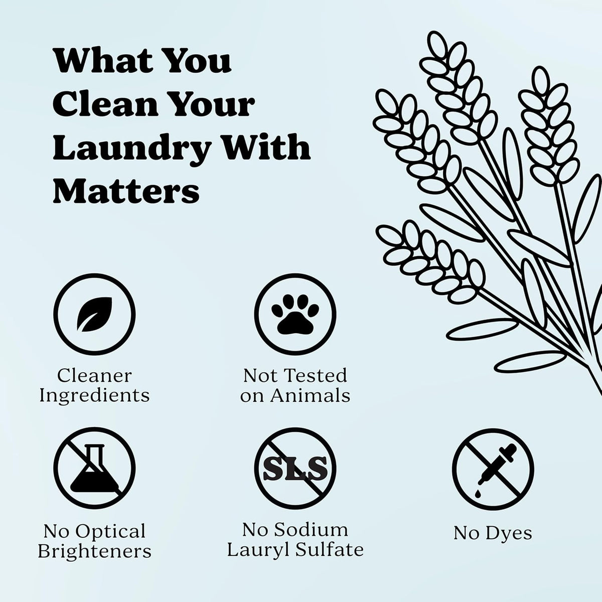 Pronounce Laundry Detergent Powder Alternative | Earth-Derived Ingredients, Eco-Friendly, Safer for