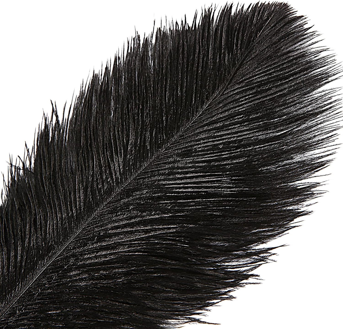 THARAHT Black Ostrich Feathers 12pcs Large Natural Bulk 16-18Inch 40cm-45cm for Wedding Party