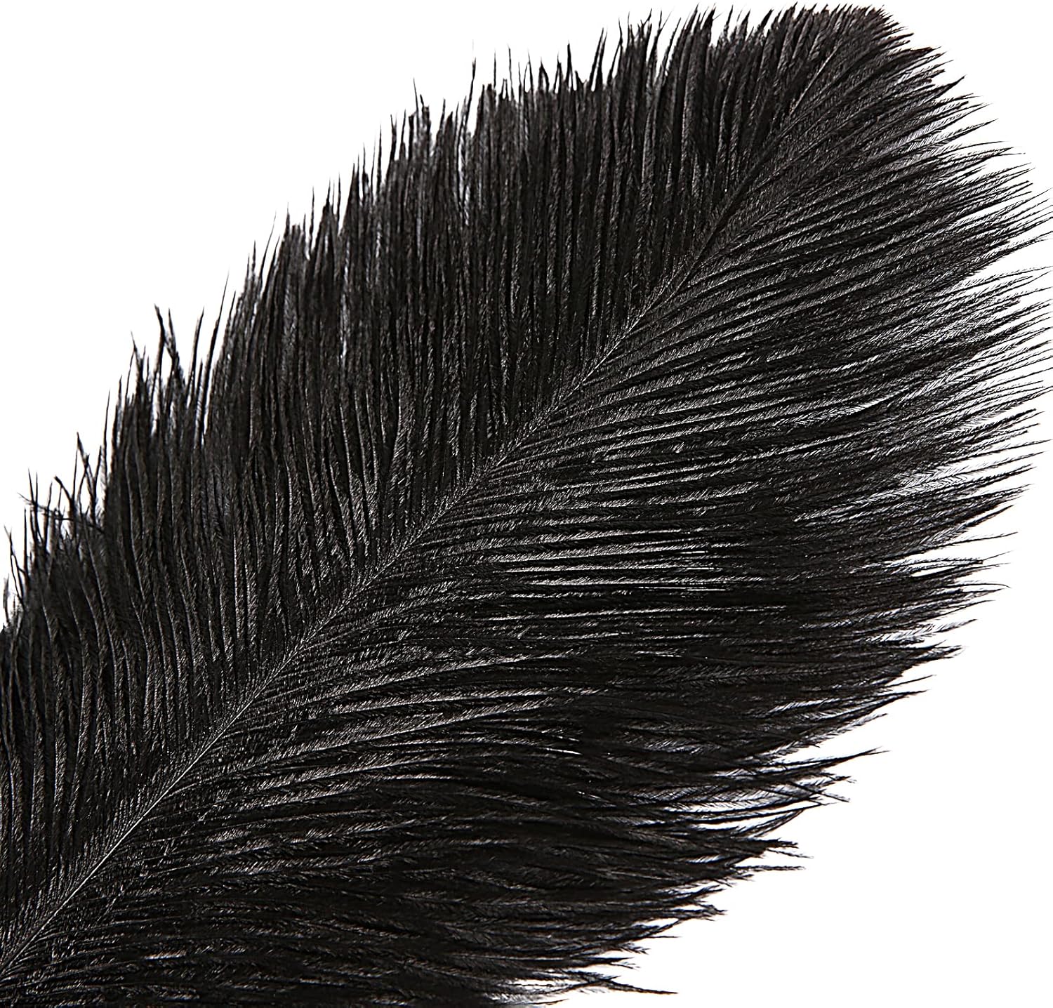 THARAHT Black Ostrich Feathers 12pcs Large Natural Bulk 16-18Inch 40cm-45cm for Wedding Party