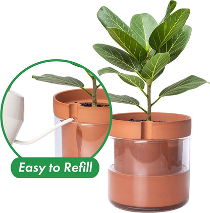 Phoenix Vine 8 Inch Self Watering Planter Pot, Terracotta Clay Pot with Glass Reservoir for Indoor