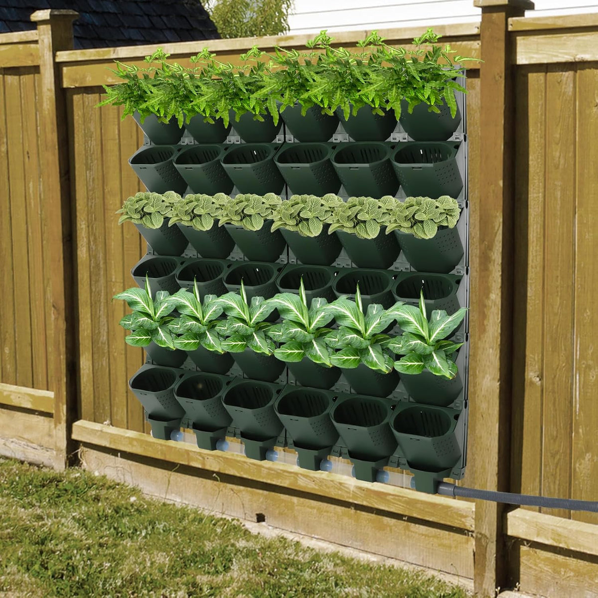 Wall Mounted Vertical Garden Planter, 6 Row 36 Plant Grow Pots, Self-Watering Vertical Planters