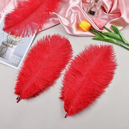 THARAHT 24pcs Red Ostrich Feathers Natural Bulk 8-10Inch 20cm-25cm for Wedding Party Centerpieces