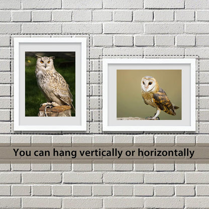 VCK 18x24 Poster Frames 3 Pack White MDF Wood and Polished Plexiglass Frame,Display Pictures in