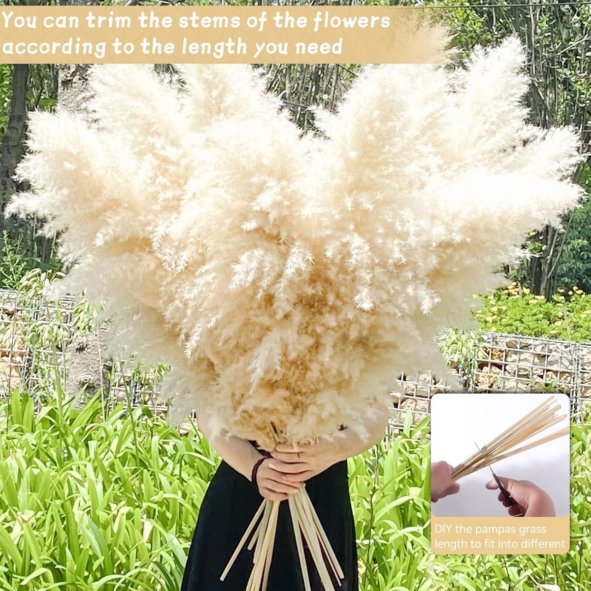40" 33PCS Dried Pampas Grass Decor Tall,Large Natural Beige pompas Grass Tall Pampas Grass for
