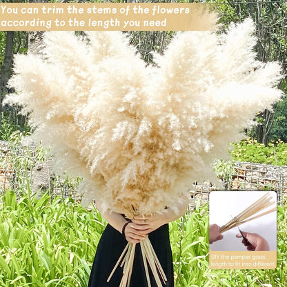40" 33PCS Dried Pampas Grass Decor Tall,Large Natural Beige pompas Grass Tall Pampas Grass for
