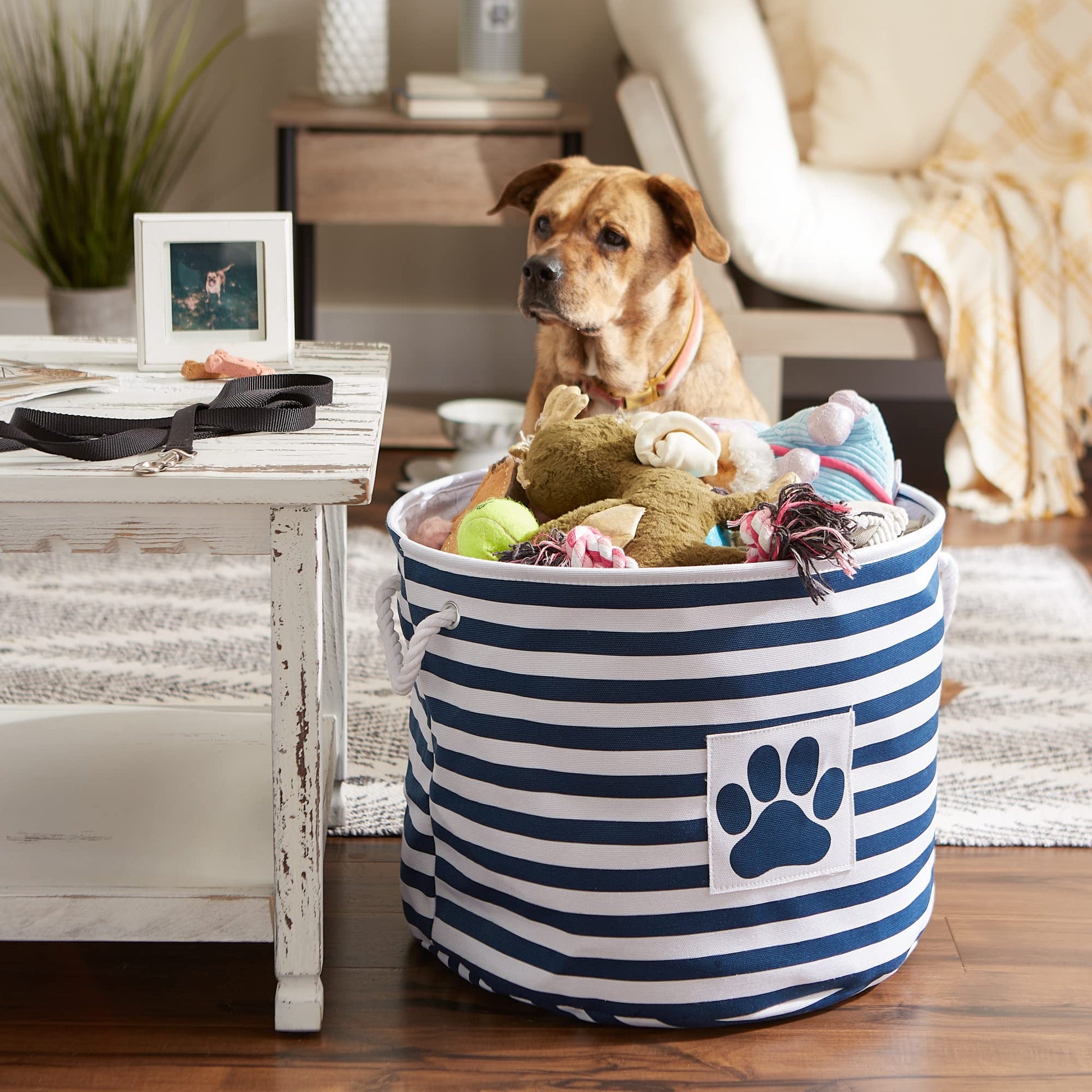 Bone Dry Pet Storage Collection Striped Paw Patch Bin, Large Round, Navy