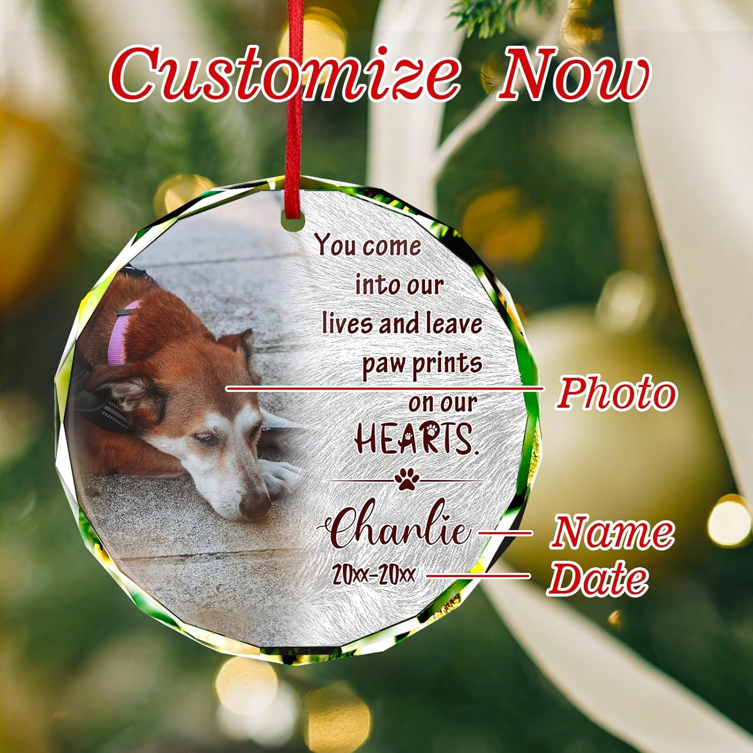 Personalized Memorial Pet Glass Ornament - Custom Picture Christmas Ornaments, Dog Forever in Our