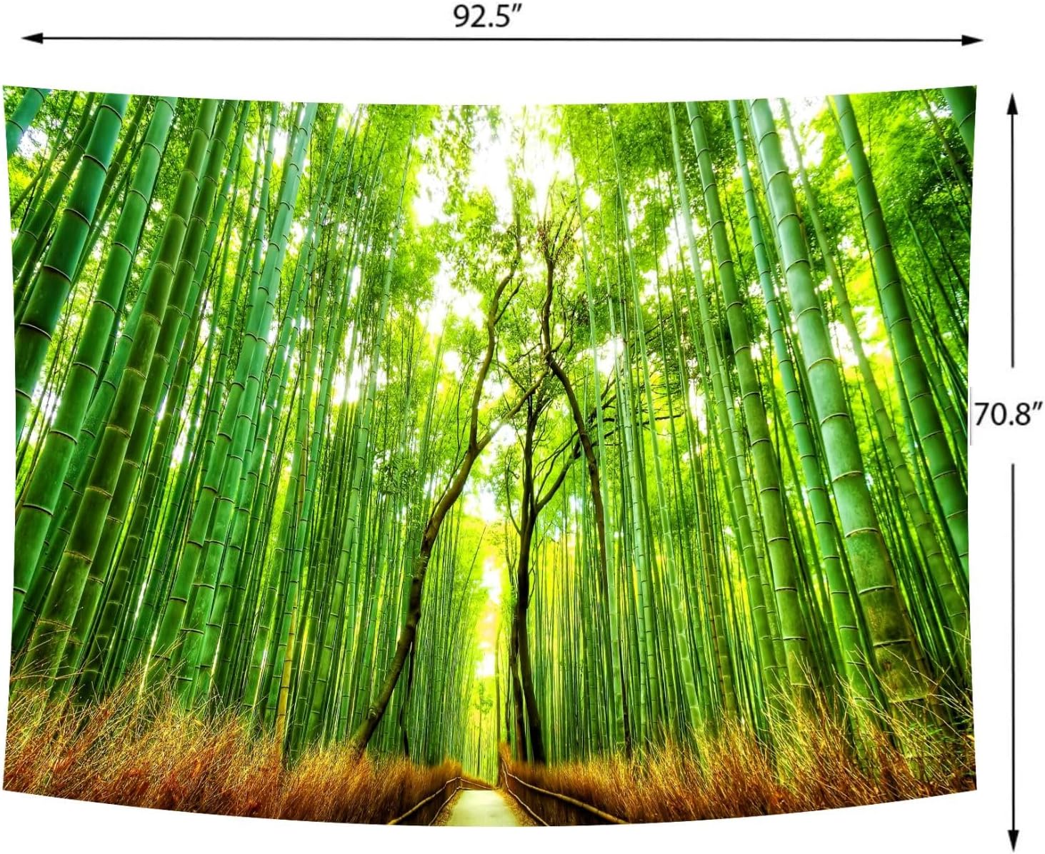 Delur Forest Pathway Tapestry Sunset Tropical Rainforest Nature Tree Tapestry Wall Hanging Sunrise