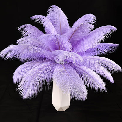 THARAHT Lavender Ostrich Feathers 12pcs Natural Bulk 10-12Inch 25cm-30cm for Crafts Wedding Party