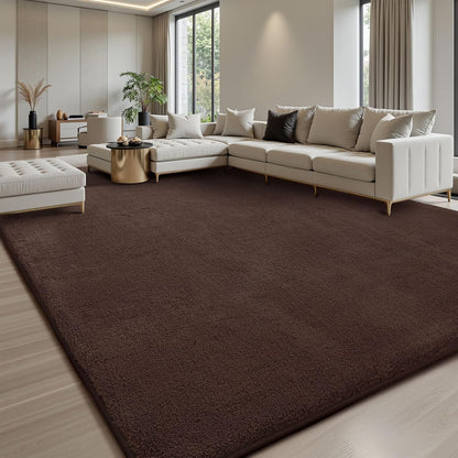 Sour Lemon 10x14 Area Rugs for Living Room, Soft Large Area Rug Fluffy Rugs for Bedroom，Machine