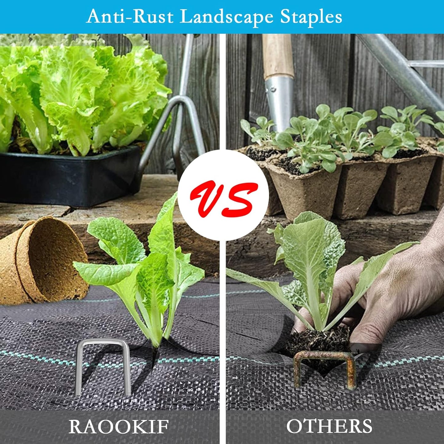 RAOOKIF 8 Inch Galvanized Garden Landscape Staples, 20/50/100/200Pcs Garden Metal Stakes, 11 Gauge