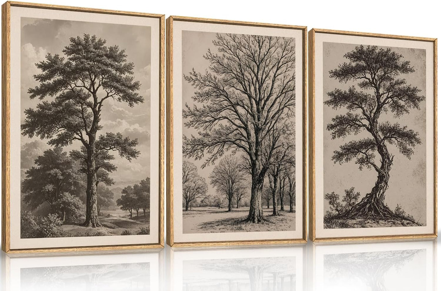 HPINUB Vintage Sketch Tree Framed Canvas Wall Art Set,Modern Nature Botanical Wall Decor, Antique