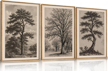 HPINUB Vintage Sketch Tree Framed Canvas Wall Art Set,Modern Nature Botanical Wall Decor, Antique