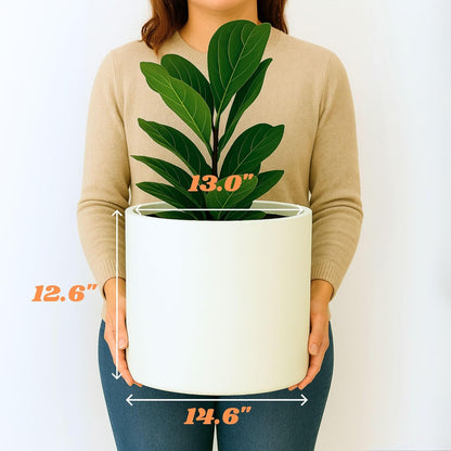 Fox & Fern 14.6 Inch Extra Large Planter — Premium Lightweight Fiberstone Matte White Plant Pot
