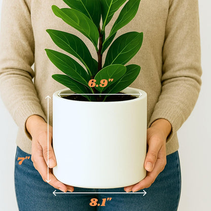 Fox & Fern 8 Inch Plant Pot with Drainage Plug — Premium Lightweight Fiberstone Matte White