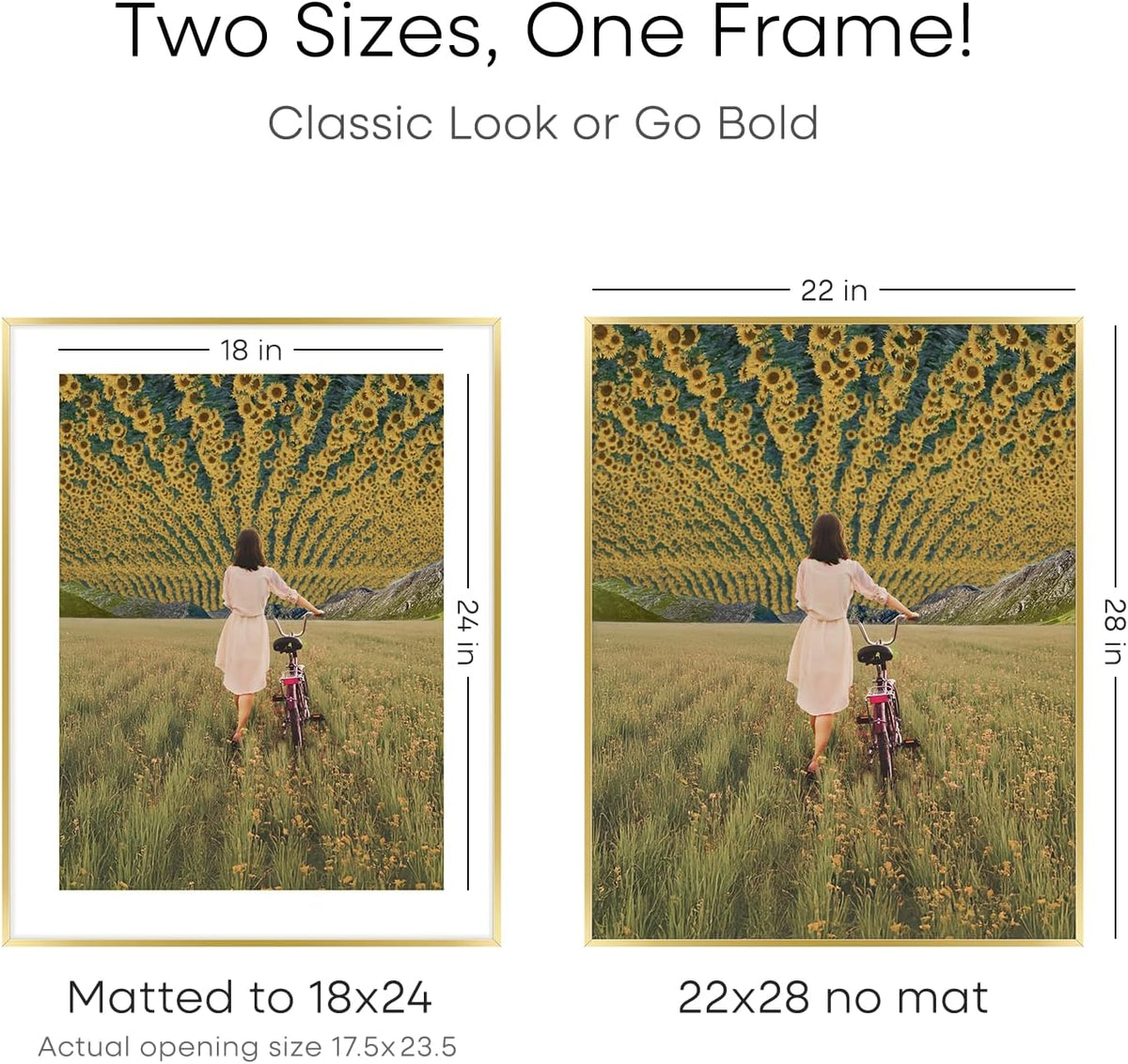 Homeforia 22x28 Picture Frame Gold, High End Metal 22 x 28 Large Poster Frames with Mat 18 by 24