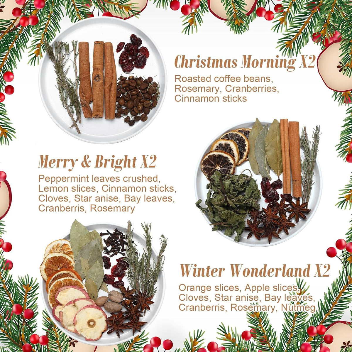6 Pack Christmas Potpourri Simmer Pot Kit, Holiday Stovetop Potpourri, Botanical Air Freshener