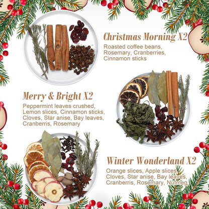 6 Pack Christmas Potpourri Simmer Pot Kit, Holiday Stovetop Potpourri, Botanical Air Freshener
