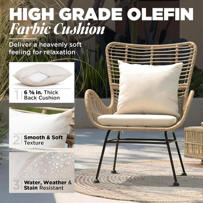 IDZO Isabelle Upgraded 2000 Hours UV Wicker Chairs Outdoor Set of 2, 500 lbs Capacity Outdoor Patio