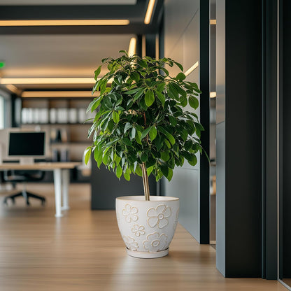 10 Inch Ceramic Planter Pot Large Plant Pot for Indoor Plants Outdoor Round Flower Pot with