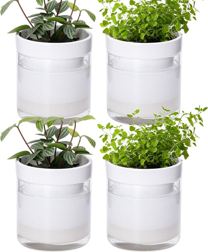 Phoenix Vine 4 Inch Self Watering Planter, White Terracotta Clay Pot with Glass Reservoir for