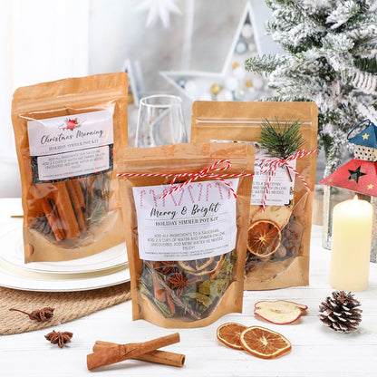 6 Pack Christmas Potpourri Simmer Pot Kit, Holiday Stovetop Potpourri, Botanical Air Freshener