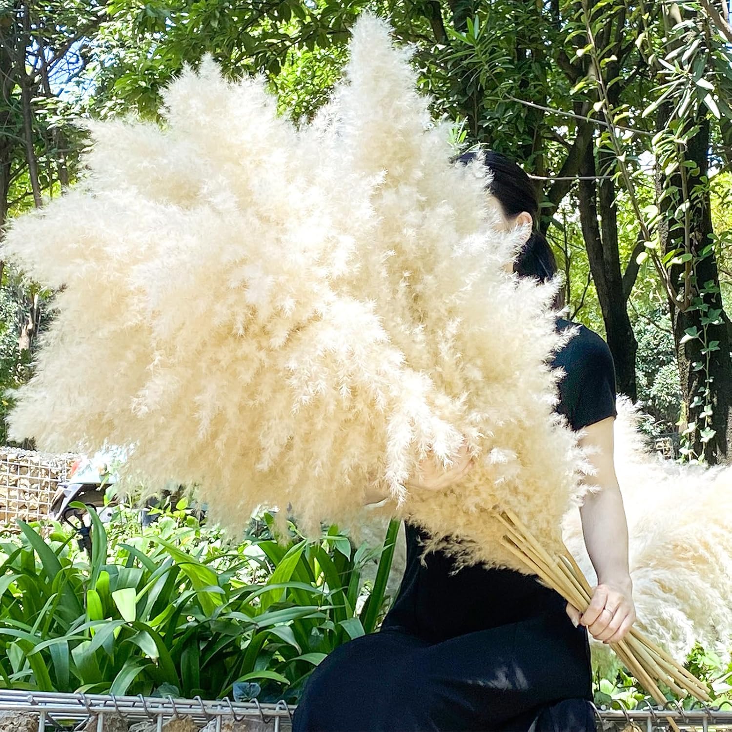 40" 33PCS Dried Pampas Grass Decor Tall,Large Natural Beige pompas Grass Tall Pampas Grass for