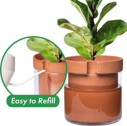 Phoenix Vine 10 Inch Self Watering Planter Pot, Terracotta Clay Pot with Glass Reservoir for Indoor