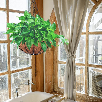 Hanging Planters Basket Outdoor Indoor(14 inch 4 Pack)-Coconut Coir Hanging Baskets for Plants