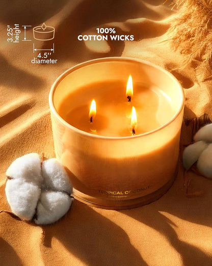 96NORTH Luxury Coconut Soy Candle | Large 3 Wick Jar Candle | Up to 50 Hours Burning Time |