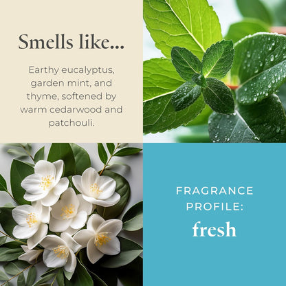 PartyLite Farm Fresh Herbs Scented, Notes of Eucalyptus, Thyme, Garden Mint, Cedarwood & Patchouli