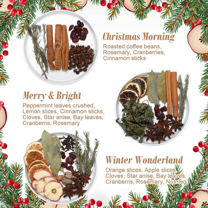 3 Pack Christmas Potpourri Simmer Pot Kit, Holiday Stovetop Potpourri, Botanical Air Freshener